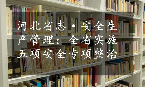 河北省志·安全生产管理：全省实施五项安全专项整治