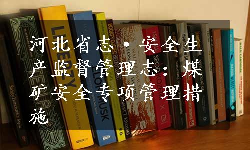 河北省志·安全生产监督管理志：煤矿安全专项管理措施