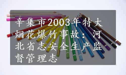 辛集市2003年特大烟花爆竹事故：河北省志安全生产监督管理志