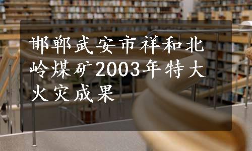 邯郸武安市祥和北岭煤矿2003年特大火灾成果