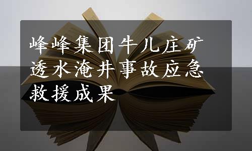 峰峰集团牛儿庄矿透水淹井事故应急救援成果