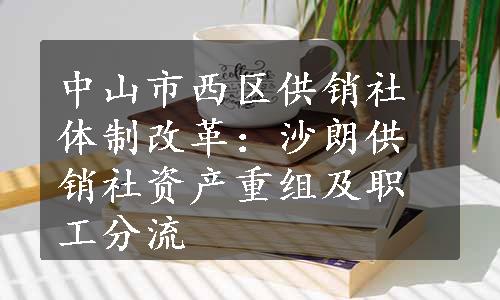 中山市西区供销社体制改革：沙朗供销社资产重组及职工分流