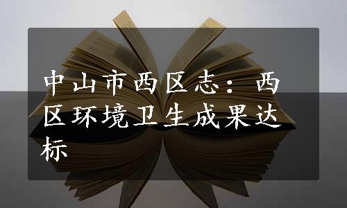 中山市西区志：西区环境卫生成果达标