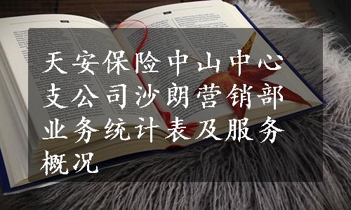 天安保险中山中心支公司沙朗营销部业务统计表及服务概况