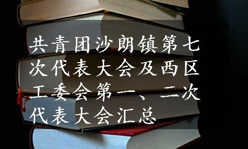 共青团沙朗镇第七次代表大会及西区工委会第一、二次代表大会汇总