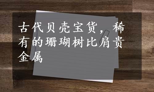 古代贝壳宝货，稀有的珊瑚树比肩贵金属