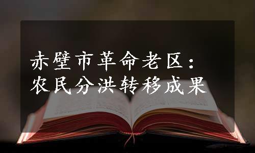 赤壁市革命老区：农民分洪转移成果