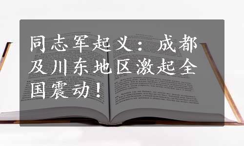 同志军起义：成都及川东地区激起全国震动！