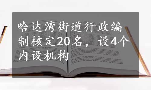 哈达湾街道行政编制核定20名，设4个内设机构