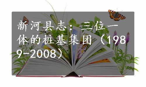 新河县志：三位一体的桩基集团（1989-2008）