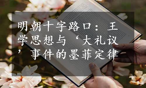 明朝十字路口：王学思想与‘大礼议’事件的墨菲定律