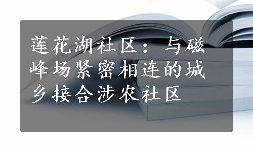 莲花湖社区：与磁峰场紧密相连的城乡接合涉农社区