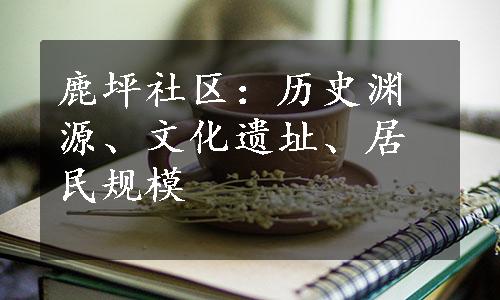 鹿坪社区：历史渊源、文化遗址、居民规模