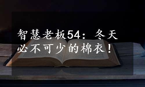 智慧老板54：冬天必不可少的棉衣！