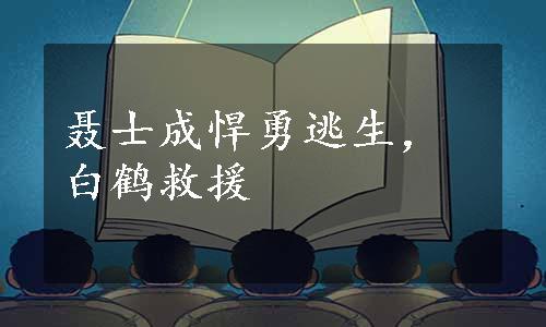 聂士成悍勇逃生，白鹤救援