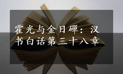 霍光与金日磾：汉书白话第三十八章