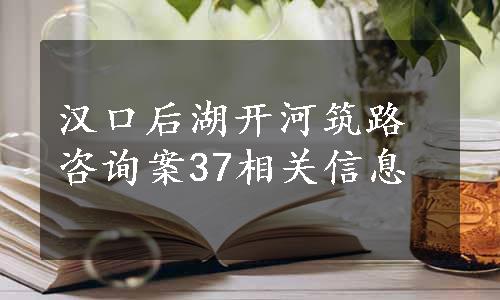 汉口后湖开河筑路咨询案37相关信息