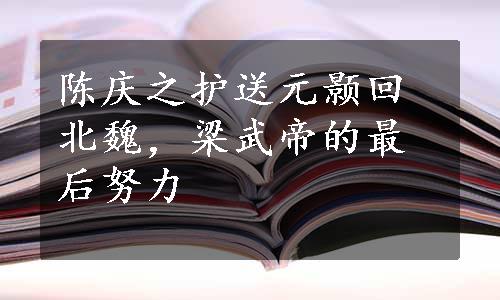 陈庆之护送元颢回北魏，梁武帝的最后努力