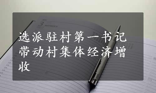 选派驻村第一书记带动村集体经济增收