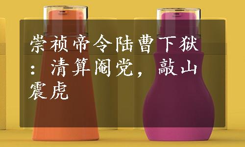 崇祯帝令陆曹下狱：清算阉党，敲山震虎