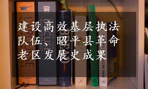 建设高效基层执法队伍、昭平县革命老区发展史成果