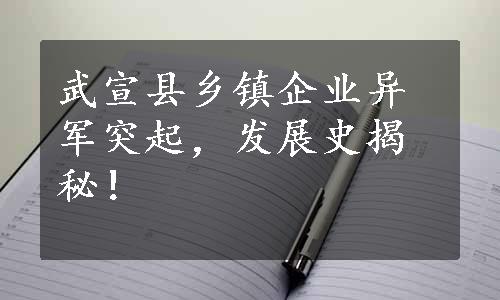 武宣县乡镇企业异军突起，发展史揭秘！