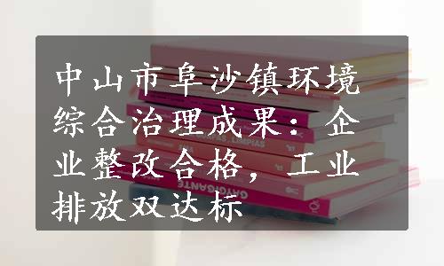 中山市阜沙镇环境综合治理成果：企业整改合格，工业排放双达标