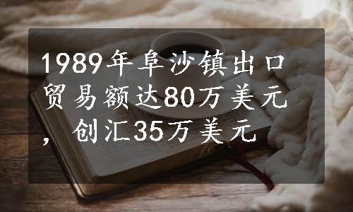 1989年阜沙镇出口贸易额达80万美元，创汇35万美元