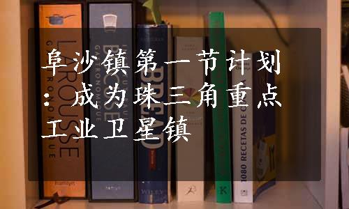 阜沙镇第一节计划：成为珠三角重点工业卫星镇