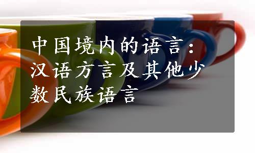 中国境内的语言：汉语方言及其他少数民族语言