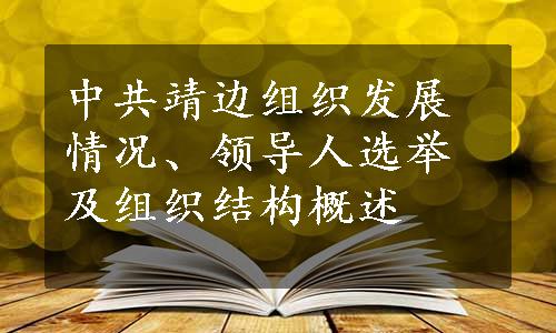 中共靖边组织发展情况、领导人选举及组织结构概述