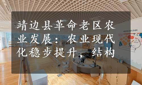 靖边县革命老区农业发展：农业现代化稳步提升，结构