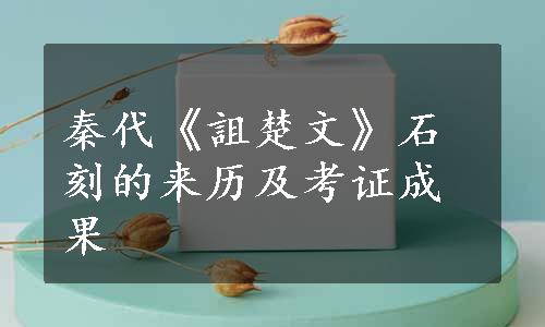 秦代《詛楚文》石刻的来历及考证成果