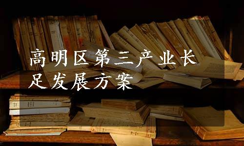 高明区第三产业长足发展方案