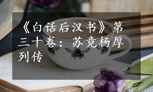 《白话后汉书》第三十卷：苏竟杨厚列传