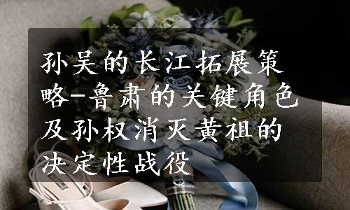 孙吴的长江拓展策略-鲁肃的关键角色及孙权消灭黄祖的决定性战役