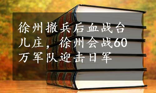 徐州撤兵后血战台儿庄，徐州会战60万军队迎击日军