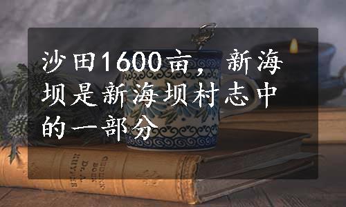 沙田1600亩，新海坝是新海坝村志中的一部分