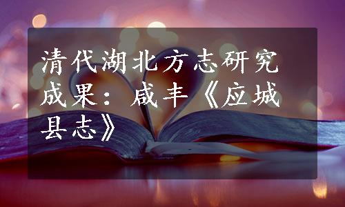 清代湖北方志研究成果：咸丰《应城县志》