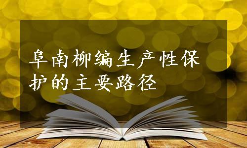 阜南柳编生产性保护的主要路径