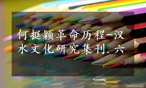 何挺颖革命历程-汉水文化研究集刊.六