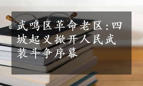 武鸣区革命老区:四坡起义掀开人民武装斗争序幕