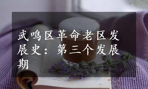 武鸣区革命老区发展史：第三个发展期