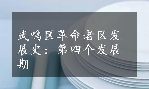 武鸣区革命老区发展史：第四个发展期