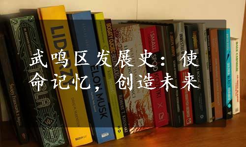 武鸣区发展史：使命记忆，创造未来