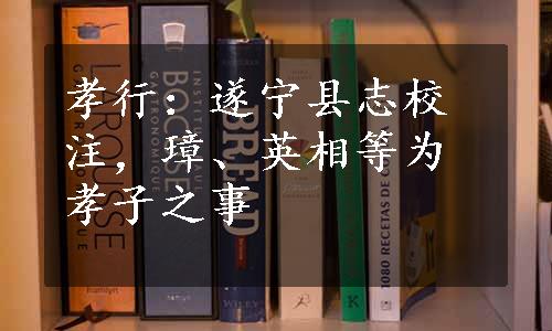 孝行：遂宁县志校注，璋、英相等为孝子之事