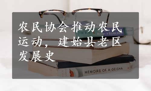 农民协会推动农民运动，建始县老区发展史