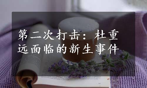 第二次打击：杜重远面临的新生事件