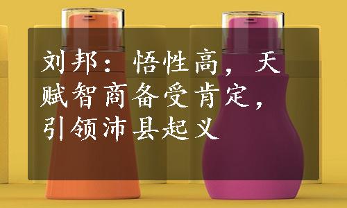 刘邦：悟性高，天赋智商备受肯定，引领沛县起义