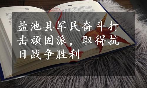 盐池县军民奋斗打击顽固派，取得抗日战争胜利